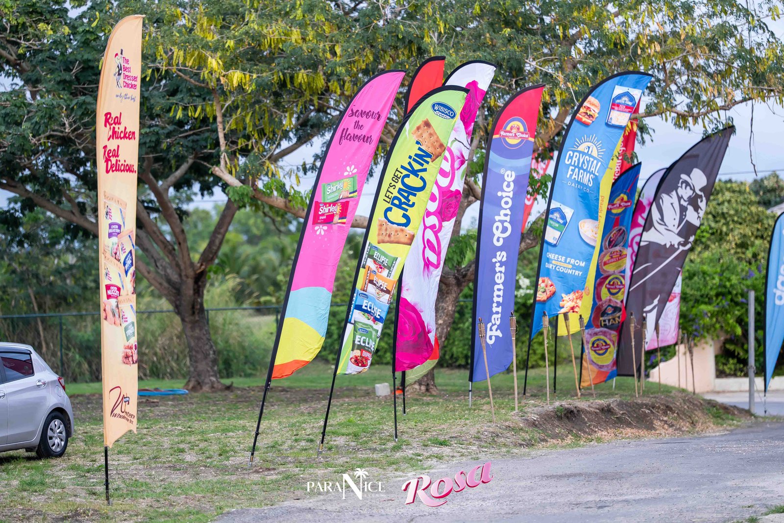 Rosa 2025 By Leekee Photography cover